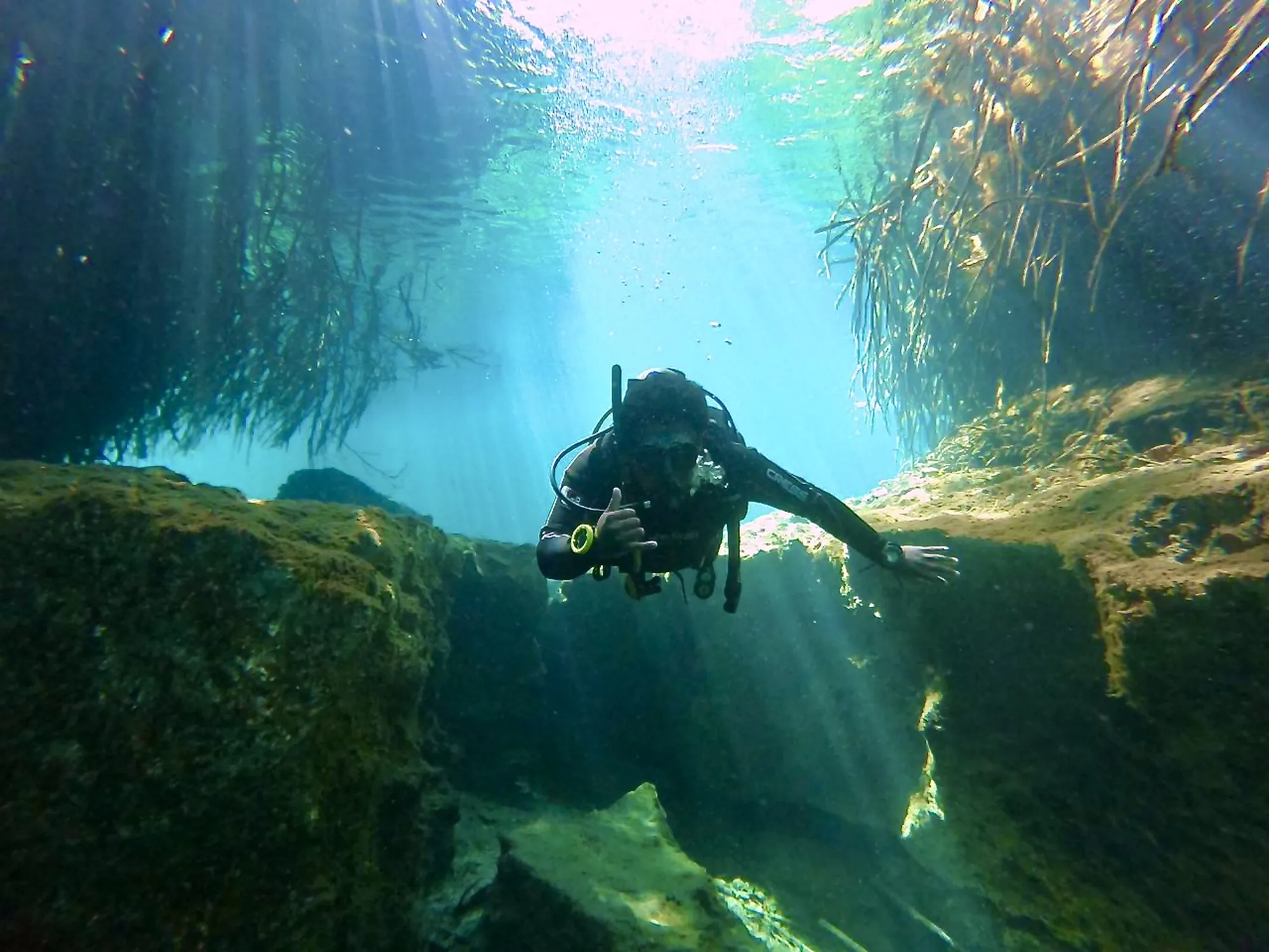 Open Water Diver