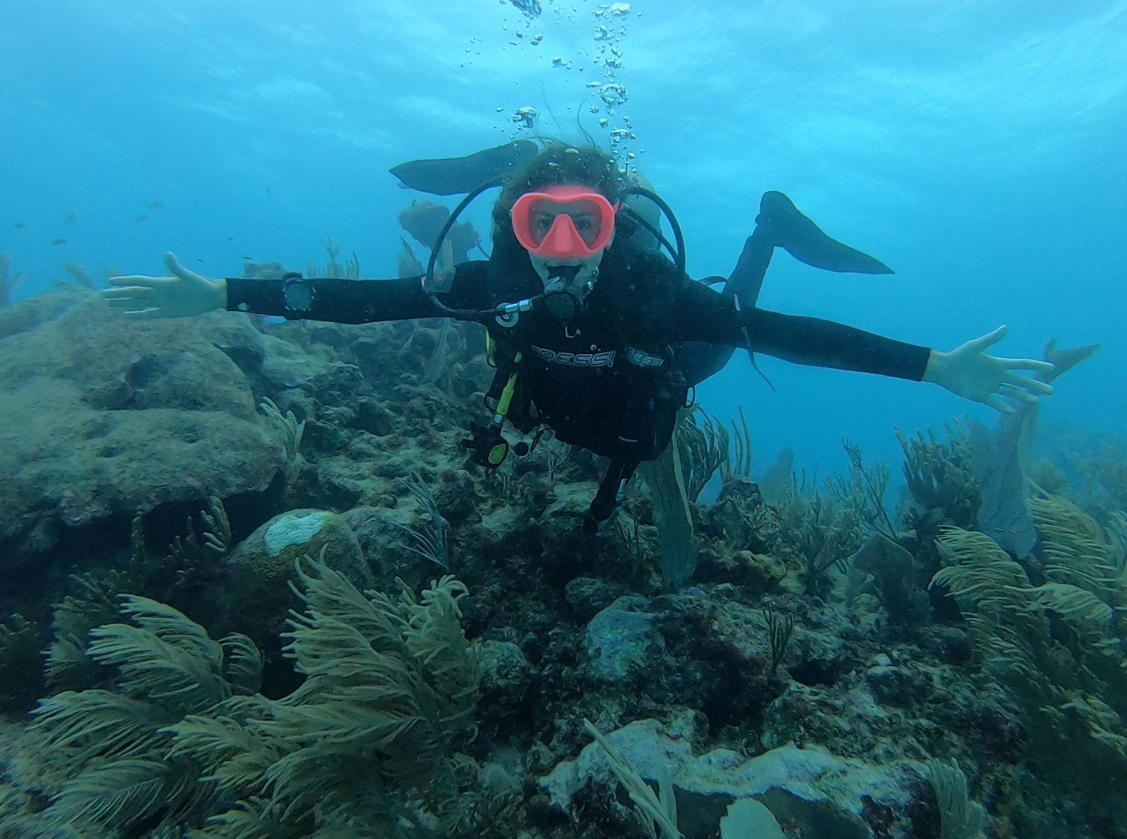 Discovery dive + reef 